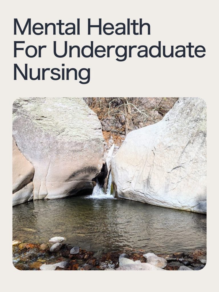 Cover of Mental Health for Undergraduate Nursing