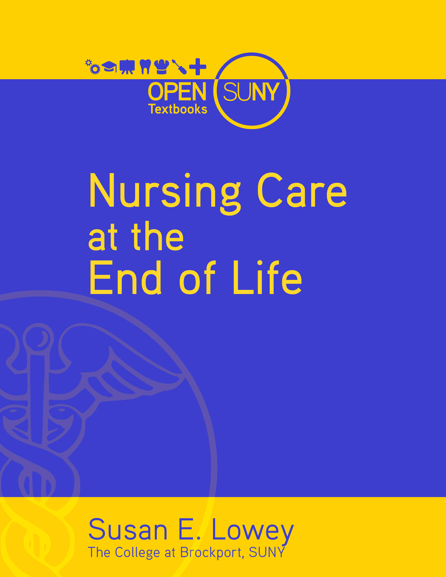 Cover of Nursing Care at the End of Life