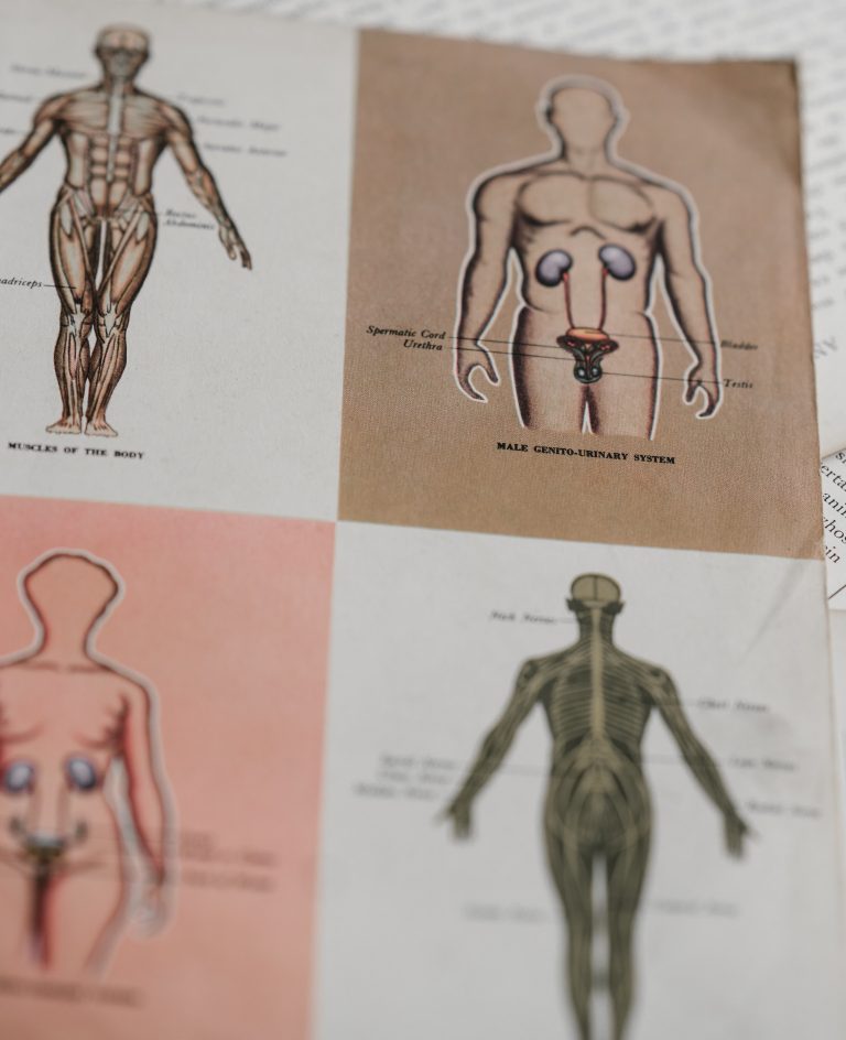 Cover of Building a Medical Terminology Foundation