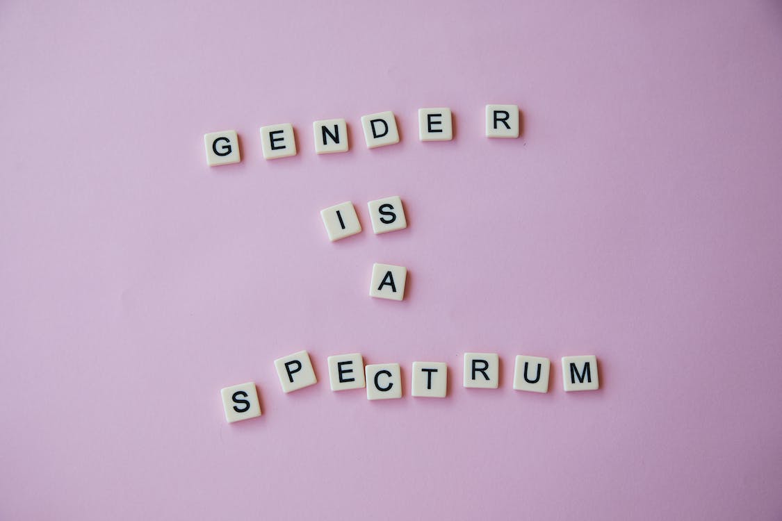 From above of composition made of letters with inscription Gender is a spectrum placed on pink background in studio