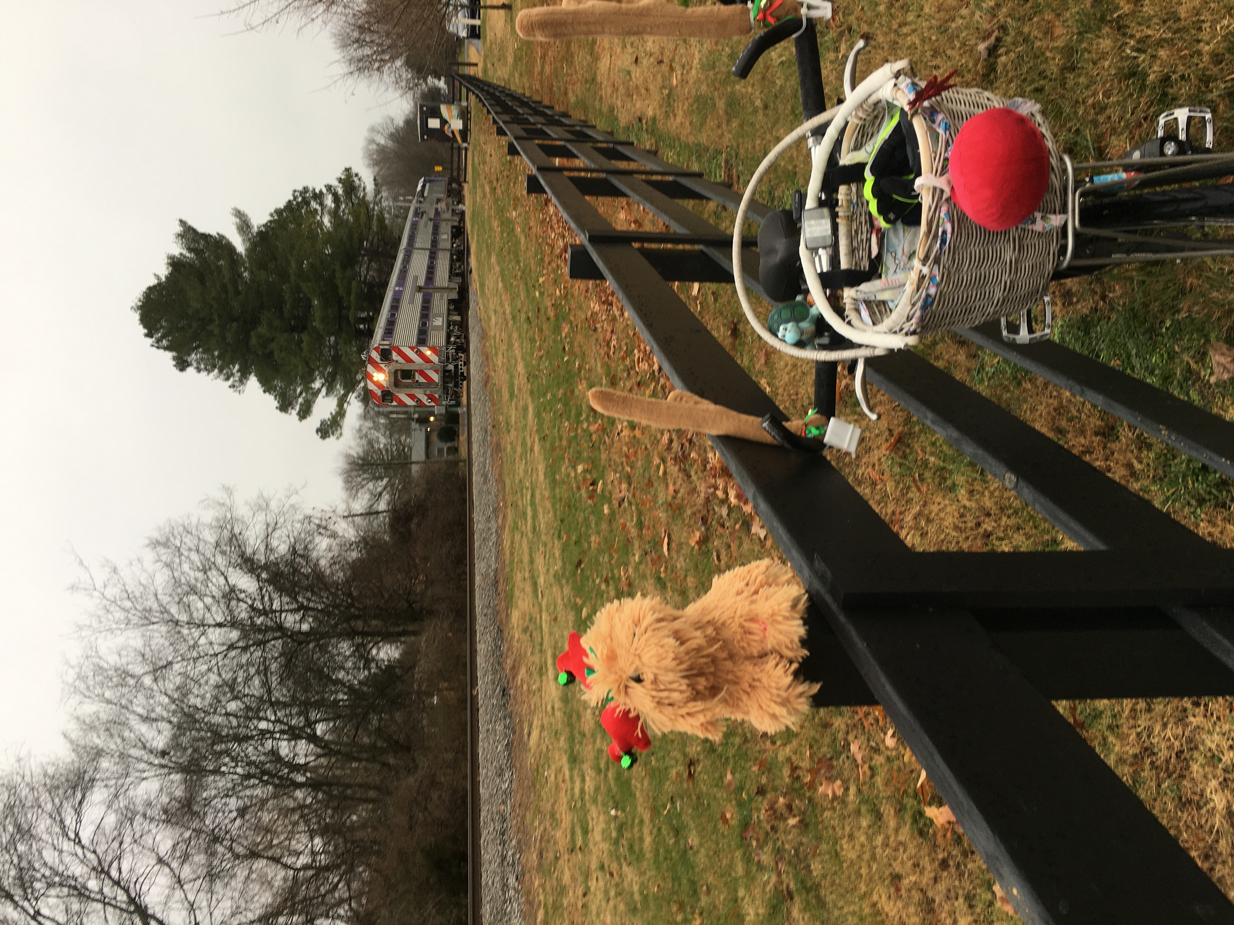 Jingle and Rudolph the Reinbike 