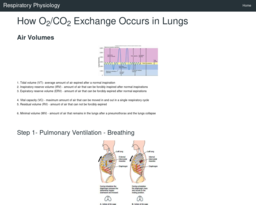 Respiratory Physiology