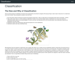 Classification