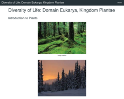 Diversity of Life: Domain Eukarya, Kingdom Plantae