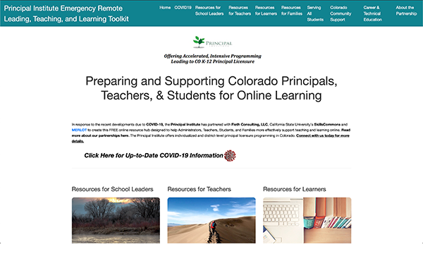 Teaching & Learning Online: Principal Institute