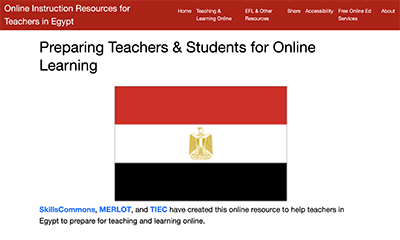 Teaching & Learning Online: EFL/ESL Teachers of English in Egypt