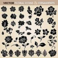 Botany Hand Book for Florida icon