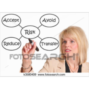 Enterprise and Individual Risk Management icon