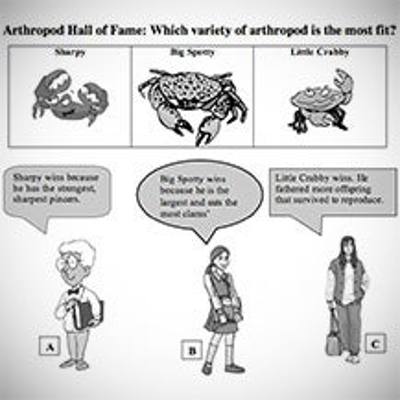 Survival of the Fittest: Battling Beetles