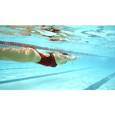 The Tired Swimmer: A Case Study on the Nervous System icon