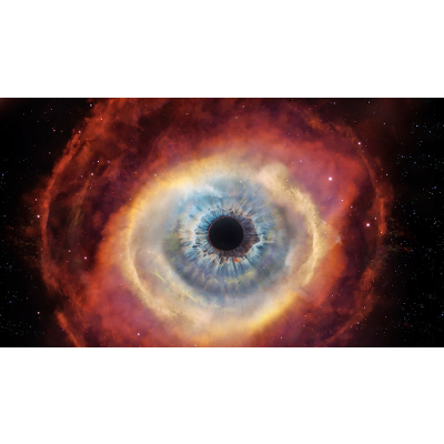 Inside or Outside the Whale: George Orwell's Art and Polemic