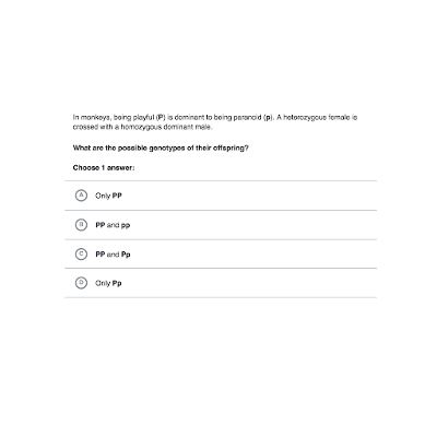 Punnett Squares icon