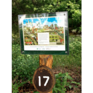 Thinking Outside the Book: Partnering to offer a Picture Book Walk