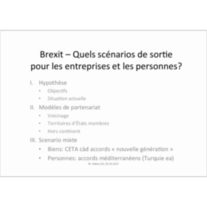 Brexit: quels scénarios de sortie pour les entreprises et les personnes?