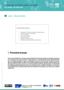 Diversité et Evolution animale : les non vertébrés icon