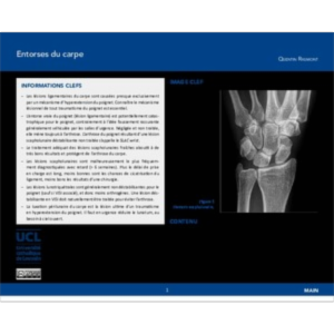 Entorses du carpe icon