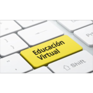 Tutorías en la Educación virtual icon