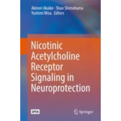 Nicotinic Acetylcholine Receptor Signaling in Neuroprotection | SpringerLink icon