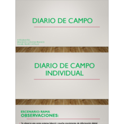 Diario de Campo icon