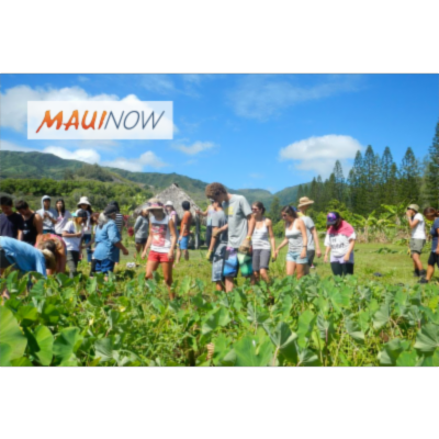 Maui Now: 18 Maui Farm Apprentices Graduate from Mentor Program icon