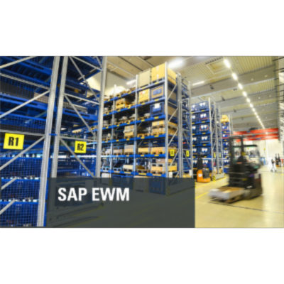 SAP courses self paced online created by industry experts icon