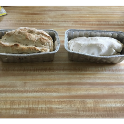 Elena Sandoval Educational Science Midterm icon