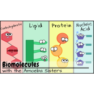 Biomolecules (Updated)