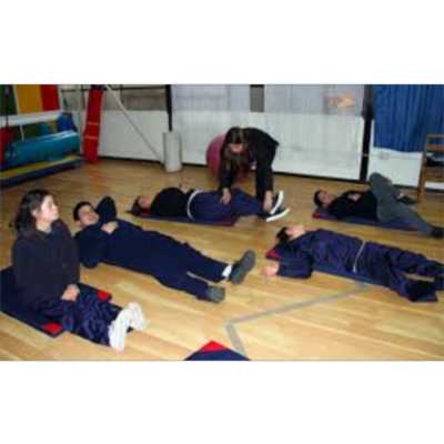 La salud en la escuela icon