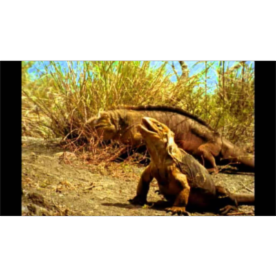 Galapagos Islands National Geographic