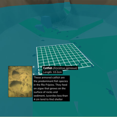 Exploring Biomass Pyramids | HHMI BioInteractive icon