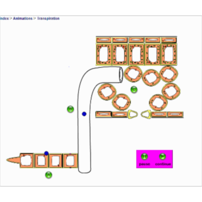 KScience - Animations icon