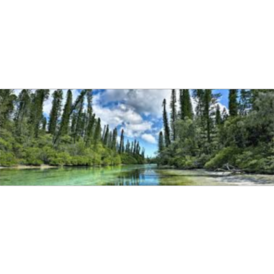 Why do We Have To Protect the Environment? icon