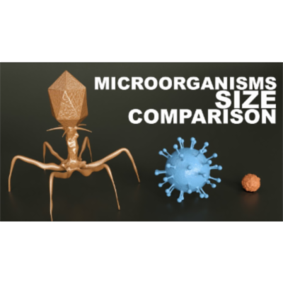Microorganisms Size Comparison icon