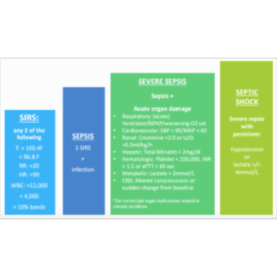Sepsis: What do We Need to Know? icon