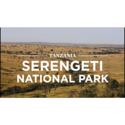 Serengeti National Park, Tanzania | Safari365