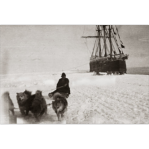 Race to the South Pole