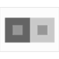 Lightness Perception and Lightness Illusions