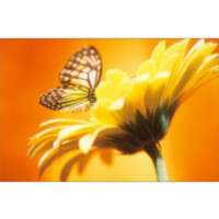 Marvel, Believe, Care icon