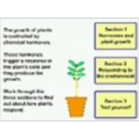 Auxin as a Plant Hormone icon