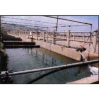 חקלאות ימית מתפתחת במלוא הקיטור icon