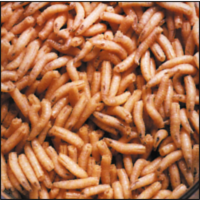 רימות זבוב הבשר הירוק - ישועה לפצעי נמק icon