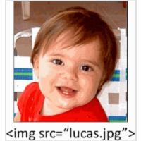 Including images in a Web page icon