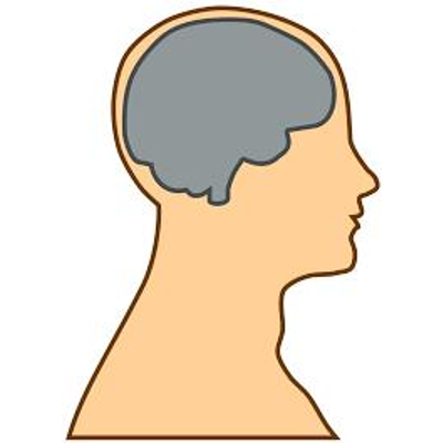 Cognitivism Learning Theory icon