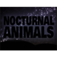 Nocturnal Animals