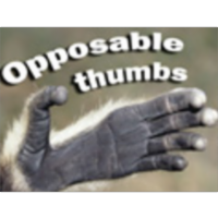 Opposable Thumbs icon