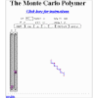 The Monte Carlo Polymer