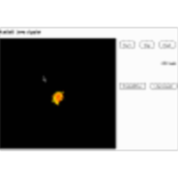 Ant Hill (Probability, Statistics, Mathematics)