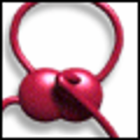 The Cardiovascular System icon