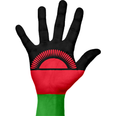 Malawi: Health Factors icon