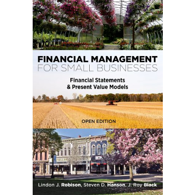 Financial Management for Small Businesses: Financial Statements & Present Value Models icon